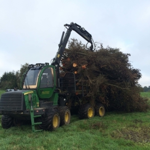Flishugger i gang med maskinskovning og flishugning ved professionel skovrydning og biomasseproduktion.