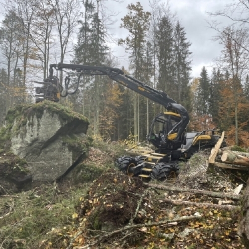 Skovmaskine udfører maskinskovning og terrænarbejde i forbindelse med professionel skovrydning.