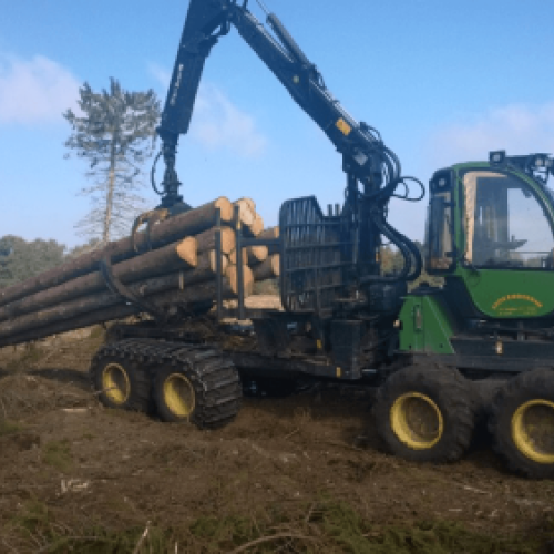 Skovmaskine transporterer træstammer under maskinskovning og professionel skovdrift.