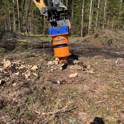 Dipperfox
