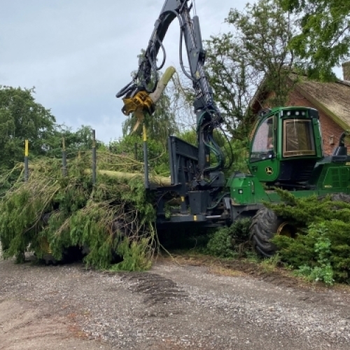 Fældemaskine og udkørselsmaskine læsser og transporterer fældede træer ved professionel skovdrift.