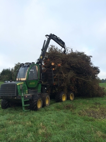 Flishugger i gang med maskinskovning og flishugning ved professionel skovrydning og biomasseproduktion.